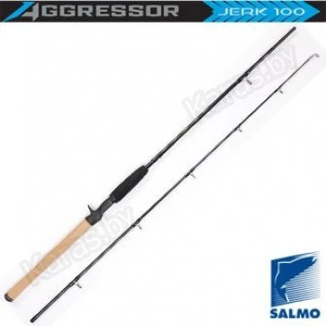 Спиннинг Salmo Aggressor Jerk 100, углеволокно, штекерный, 1,8 м, тест: до 100 г, 160 г
